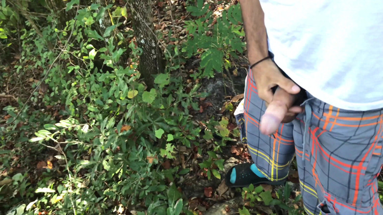 Arthur Eden aka Webcam God: POV Natur-trek (4k)