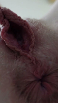 Facesitting on Your Face From Your POV