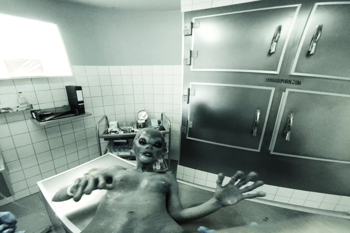 Xvirtual: X Virtual 9 Roswell Ufo in 180°