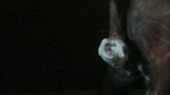 Fun_with_Rockey: Děje se ve tmě