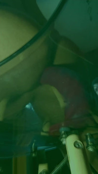 Dildo Billy
