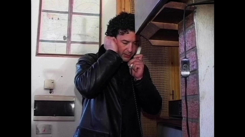 Big Bamboo Trans: 别进那房子