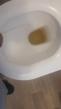Pissing in Womens Toilet