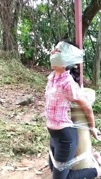 Nancy Drew's Outdoor Bondage Adventure