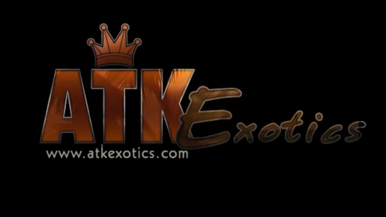 ATK Exotics: Sport acquatici