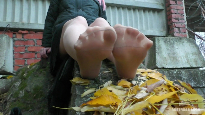 Mistress Legs: Le gambe in nylon all'aperto giocano con le foglie d'autunno