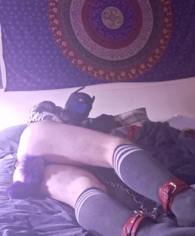 Tail Bondage Socks (Robert Swellens studio)