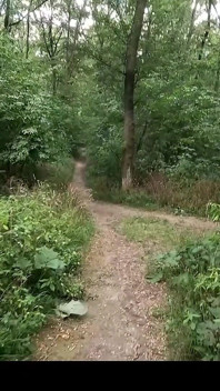 Podczas wędrówki zobaczyłem nieznajomego związanego na stacji spust, dałem mu ręczną robotę