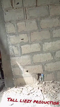 Compilation porno africano casalinga prima stagione