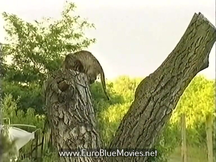 Euro Blue Movies: Teenies extrem 162 - junge biester - faustgeil - mega bums - sapore di figa (1996)