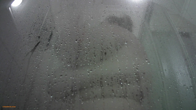 LaLaDelilah: Wet BBW shower