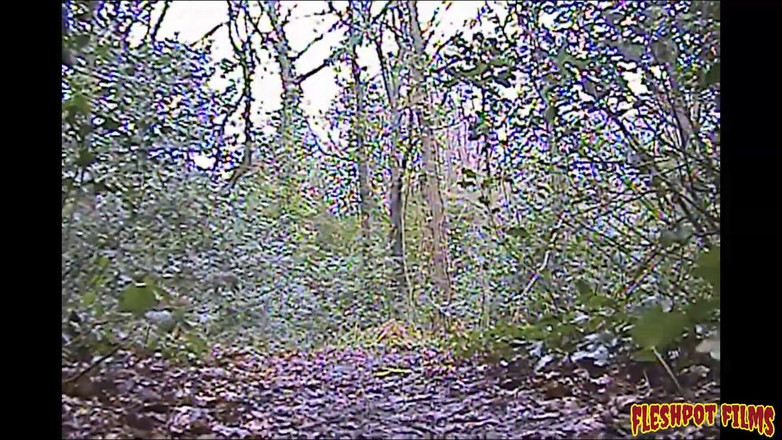 Fleshpot films: ¡Bocinazo! si estás cachonda