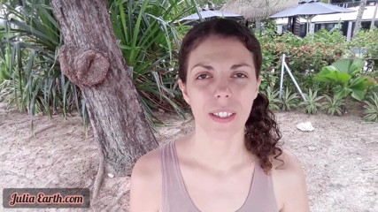 TheoryOfSex: JVE rules of good day. Rule no 2 - nutrition. JVE Vlog...
