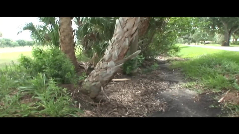 Dream Girls: Divoká zábavná a extrémně riskantní veřejná nahota