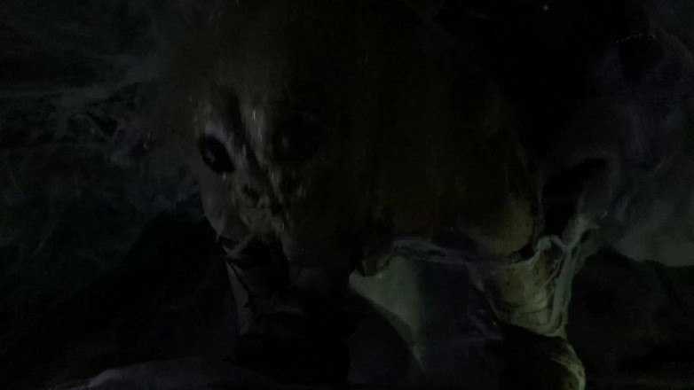 Horror porn: Порно жахів 17: жіночий павук