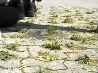 Pissing adventures: Anal jebanie w trójkącie vintage - DVD