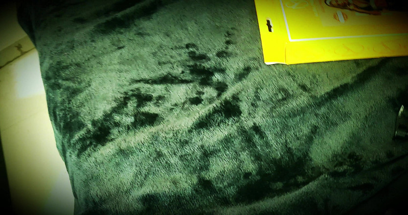 PABLO N3GROBAR: 시즌 4 - 요리하는 순진한 미시 곰