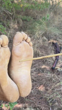 Falaka in the Woods and the Amusement of Empress Bella Sadistic