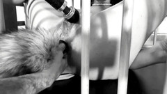 Bdsmlovers91: Moje kitty láska stříkat a stříkat - bondage pussy a ass...