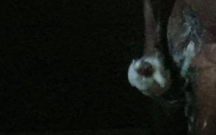 Fun_with_Rockey: Is Going on in the Dark