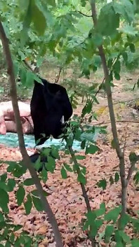 Sexo anal al aire libre con un de pelo negro
