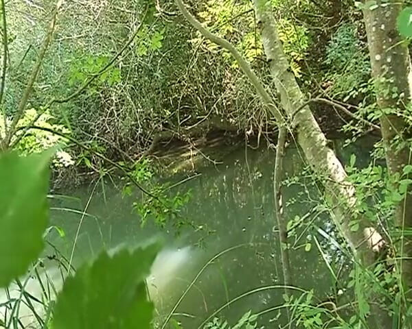 Filles Francaises: Boneka imut perancis lagi asik jilat sperma setelah seks anal...