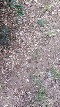 Kacau oleh orang cabul di sepanjang landasan kereta api