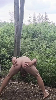 Entre los hayas: Una exposición rudimentaria sobre madera desnuda