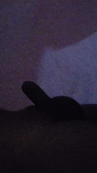 Bhabhi ha spompinato e scopa tutta la notte