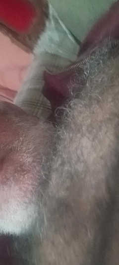 Paizao: 私の非常に厚い毛むくじゃらの胸の陰茎で遊ぶ