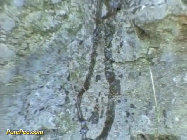 Pure Pee: Harlot in Outdoor Pissing