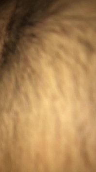 Black Breeders 76