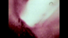 The Unforgettable: ワイルドコルト