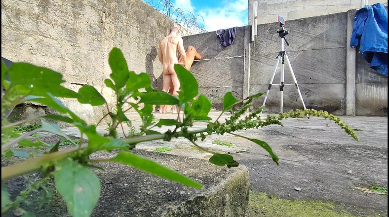 carmonaoficial: 森の中のカメラが二人の異性愛者がセックスしている様子を撮影している