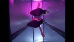 Foxy Desire: Jane Darling se masturba enquanto usa asas de anjo e...