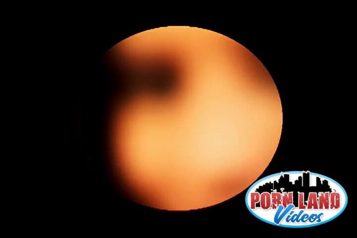 Pornland videos: La troia sporcacciona jayna oso scopata duramente in ogni buco