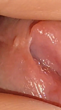 Rough Stepdaddy Using Precum as Lube on Little Dick.