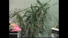 Vintage Megastore Full hd: Två vänner försöker spela lesbisk