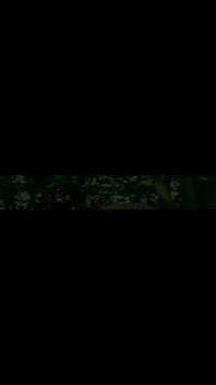 Ass on Full View in a Forest