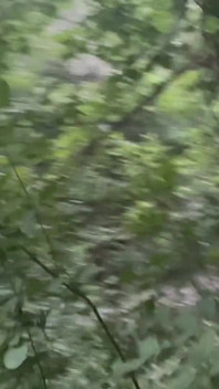 Mear, barro y mostrando cerca de la carretera