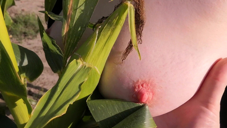 Bouncy Tits Action: Mısır tarlasında göğüslerimi tokatla