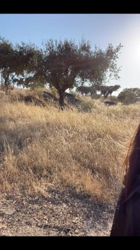 Gata pentru următorul meu videoclip?