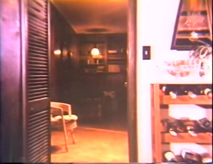 Vintage Usa: La légende du porno - « USA 1969, le début - scène 18 »