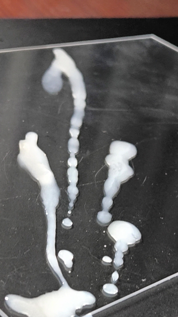 LolaCD: 그것은 기쁨이 될 것입니다