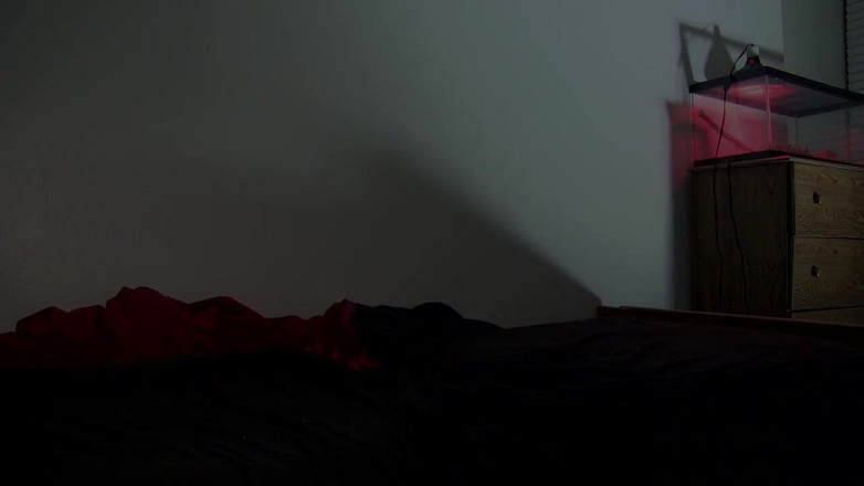 The Habib Show: フルビデオ..シカゴのキンバリー・チーとフッド・リカンのタトゥー