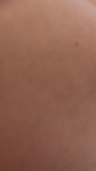 欧洲帆船dianne得到和舔
