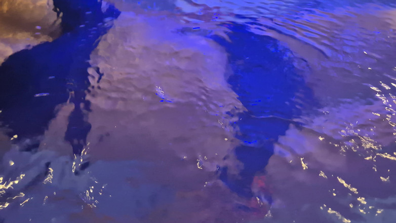 chodasse13: Jacuzzi Session