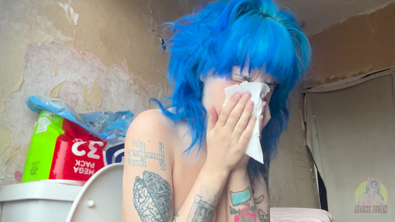Alice Bean: Honks on the Toilet