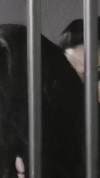 Kimberlee inizia a esibire le sue grandi tette
