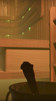 Sauna Persuasion
